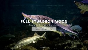 Sturgeon Full Moon Sound Bath @ Float State